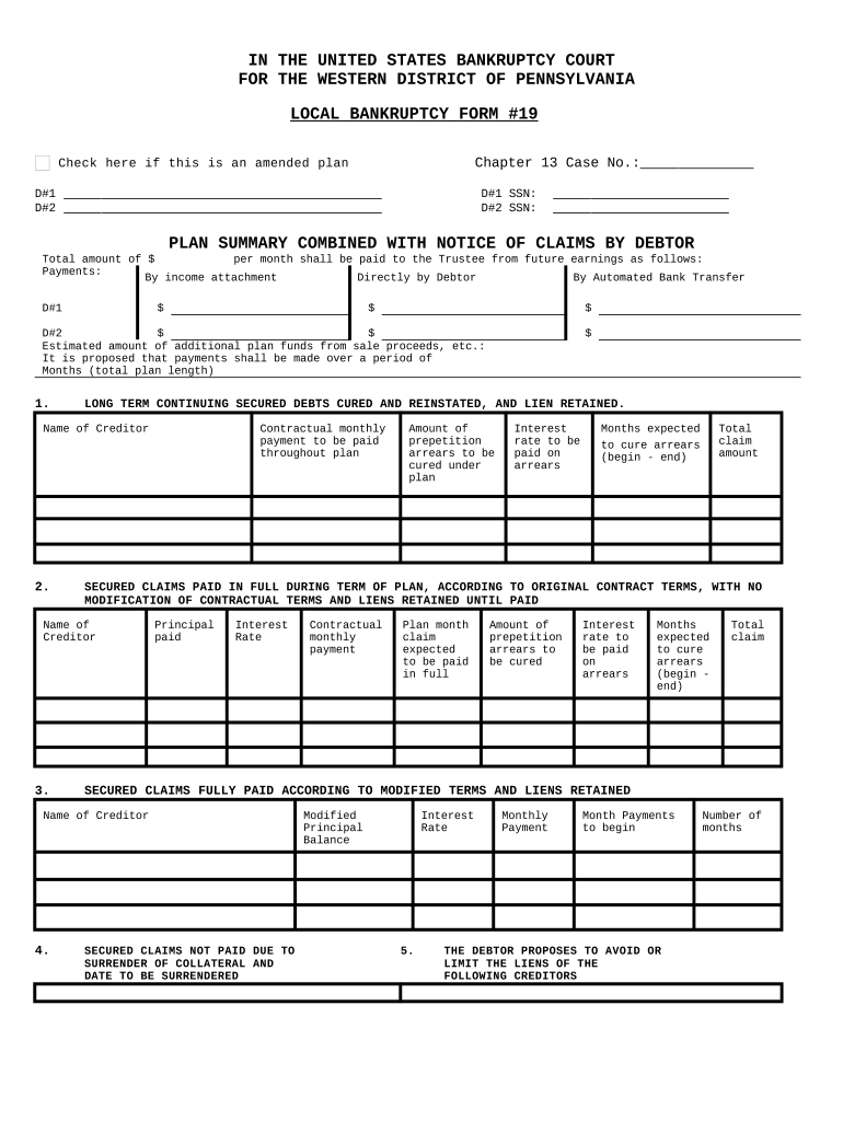 Pa Debtor  Form