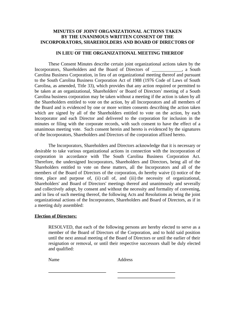 Minutes for Organizational Meeting South Carolina South Carolina Form