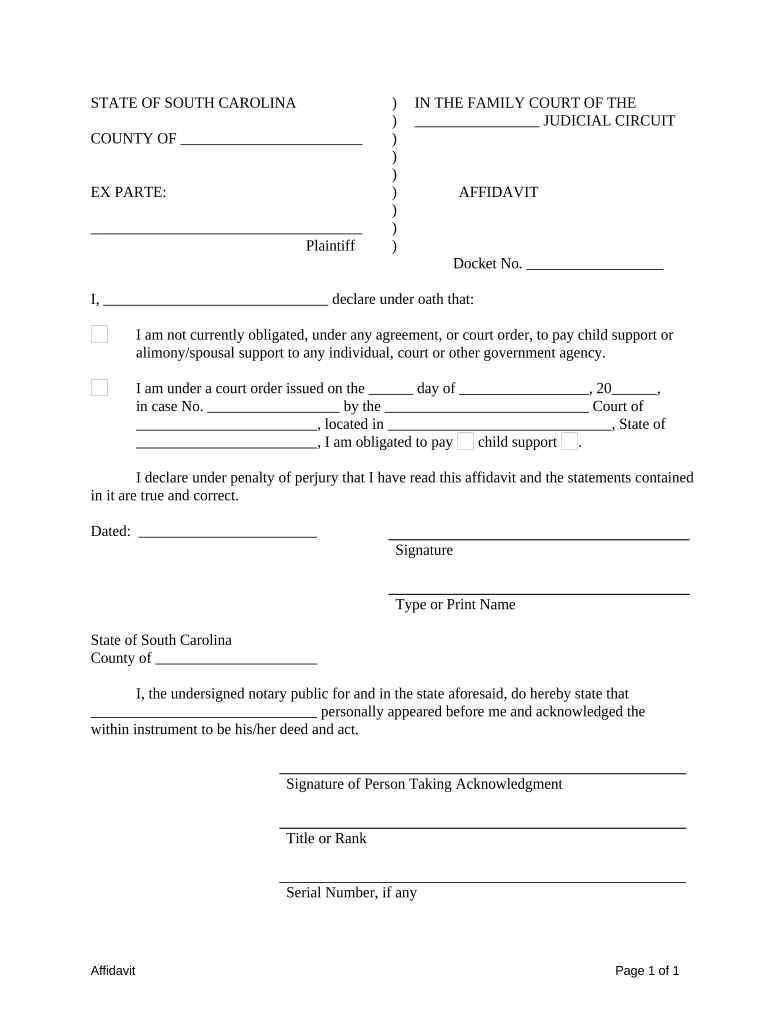 South Carolina Child Support  Form