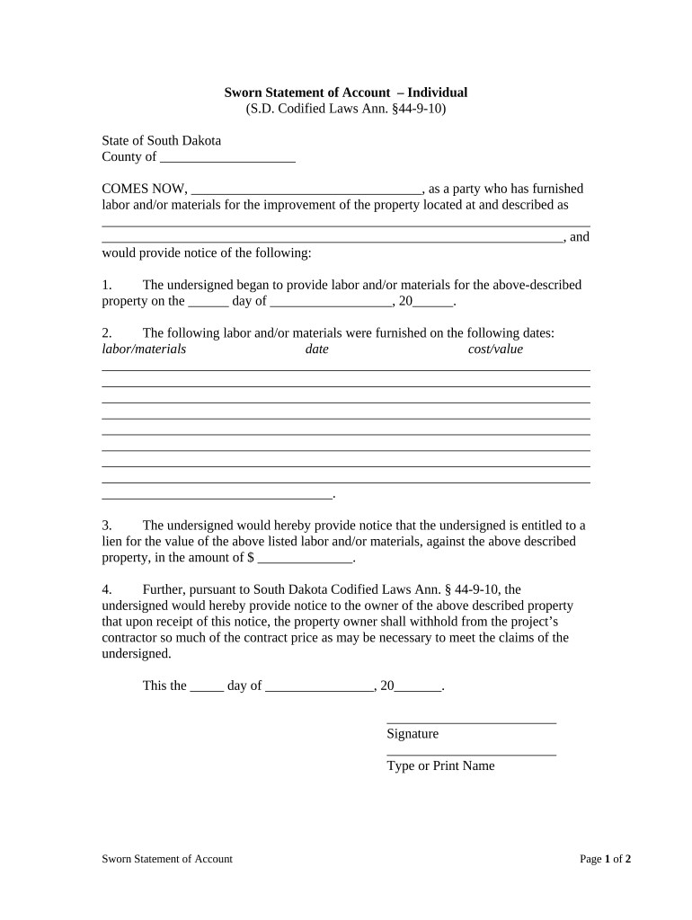Statement of Account Individual South Dakota  Form