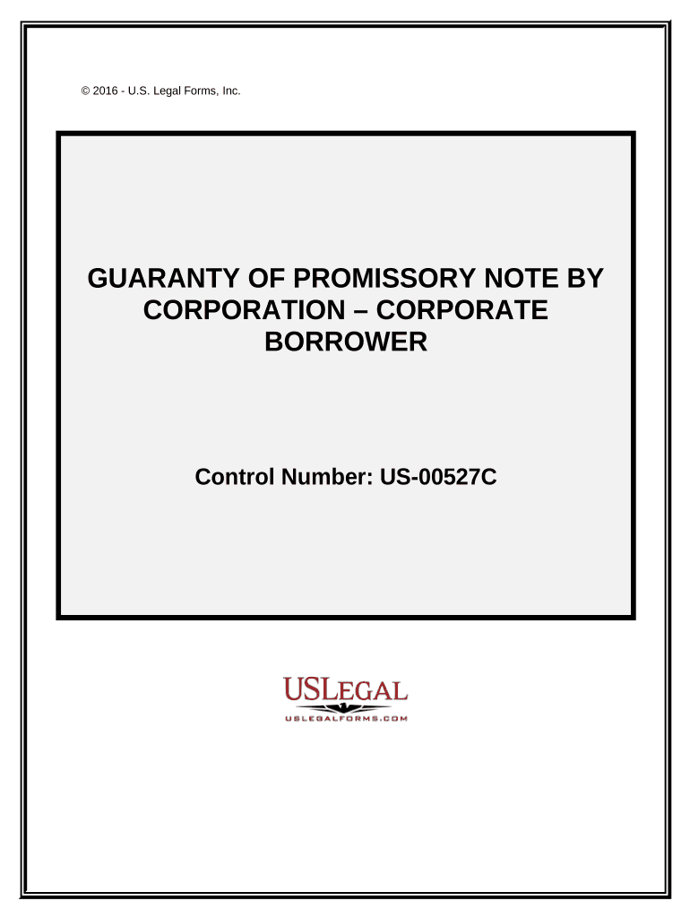 Promissory Note Borrower  Form