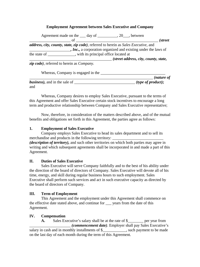 Employment Agreement Company  Form