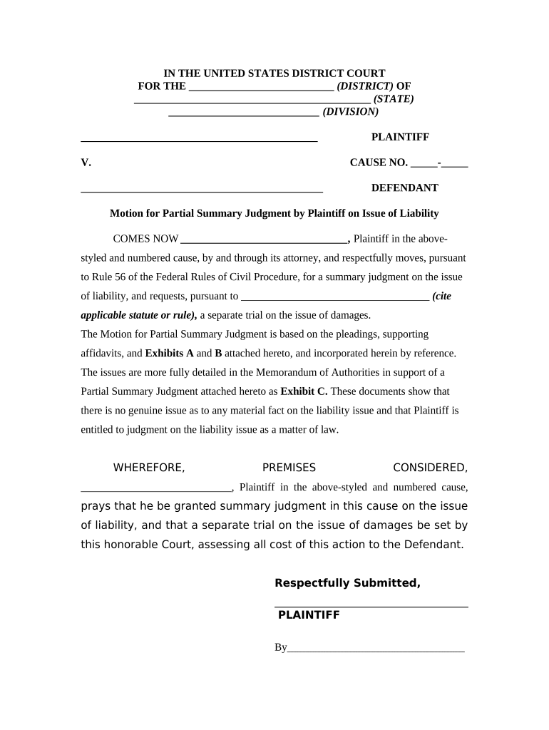 Motion Summary Judgment  Form