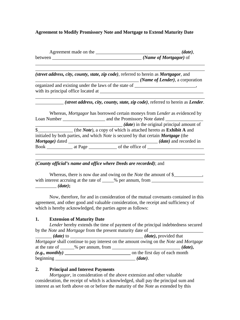 Promissory Note Maturity  Form