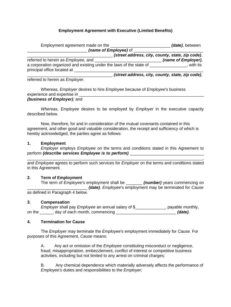 Employment Agreement Executive  Form