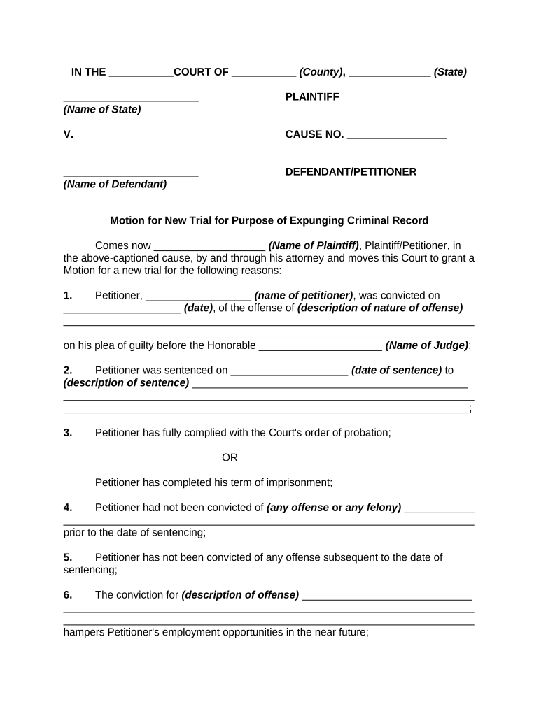 Motion Criminal Sample  Form