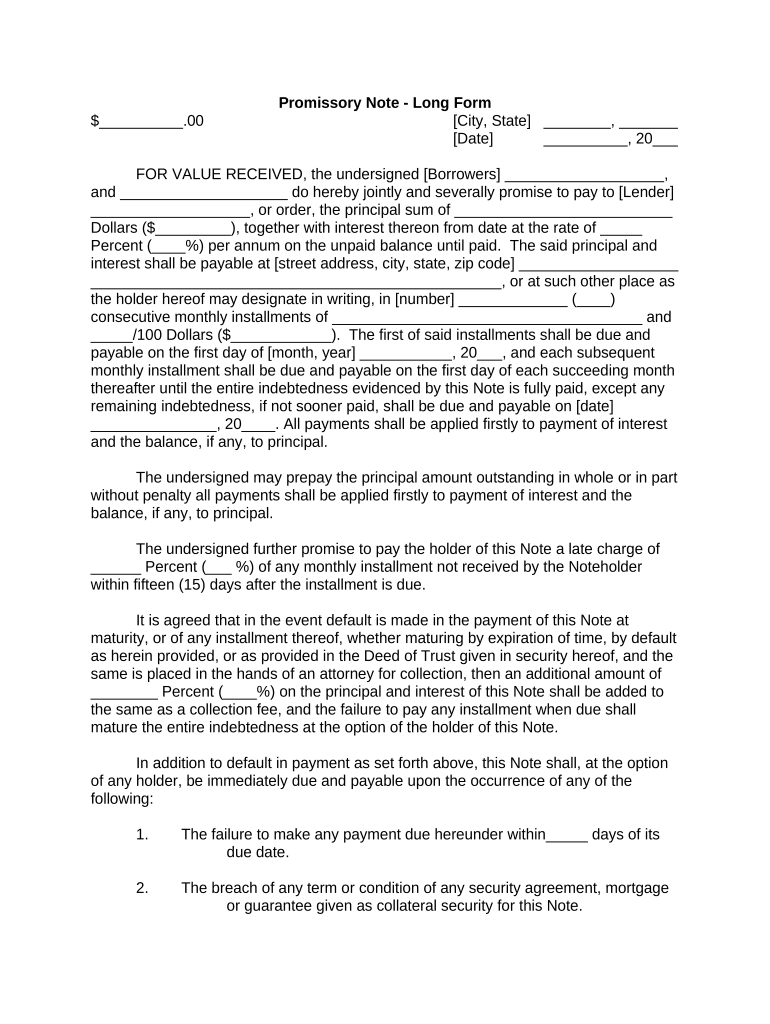 Promissory Note Long  Form