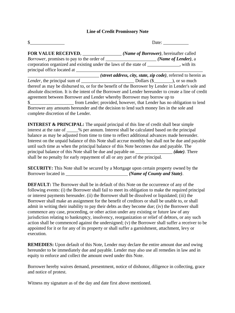 Credit Promissory Note  Form