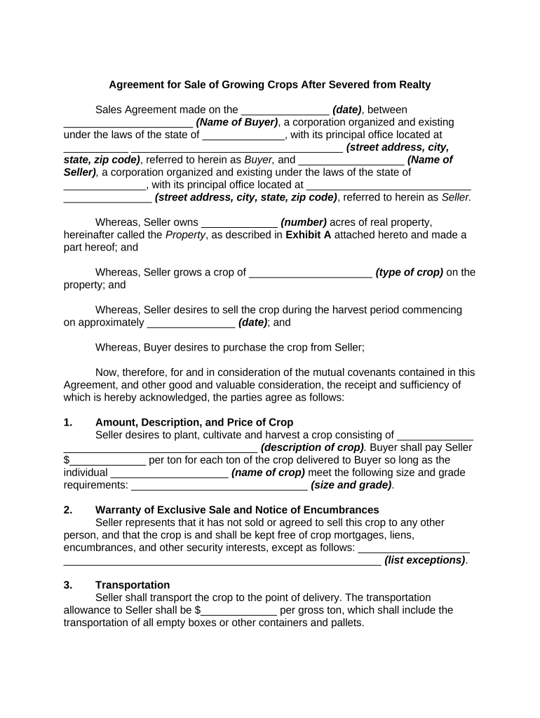 Agreement Sale After  Form