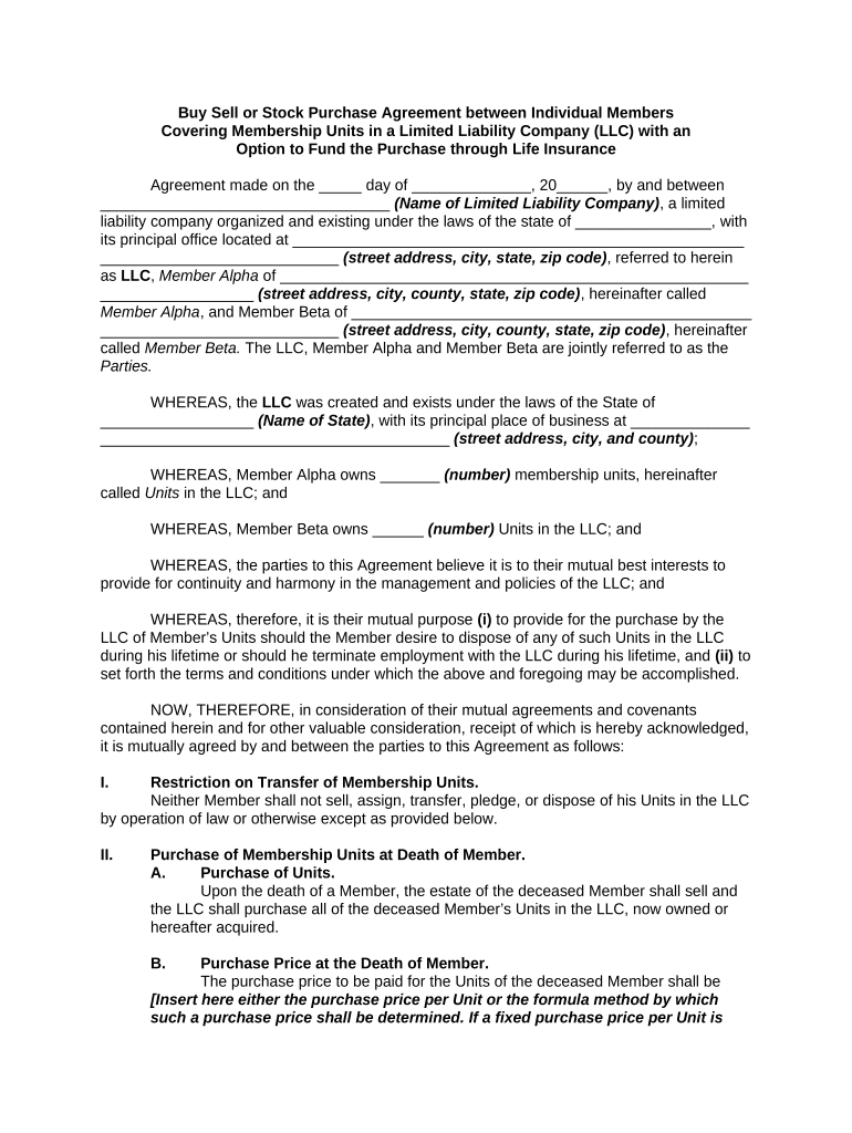 Buy Sell Llc  Form