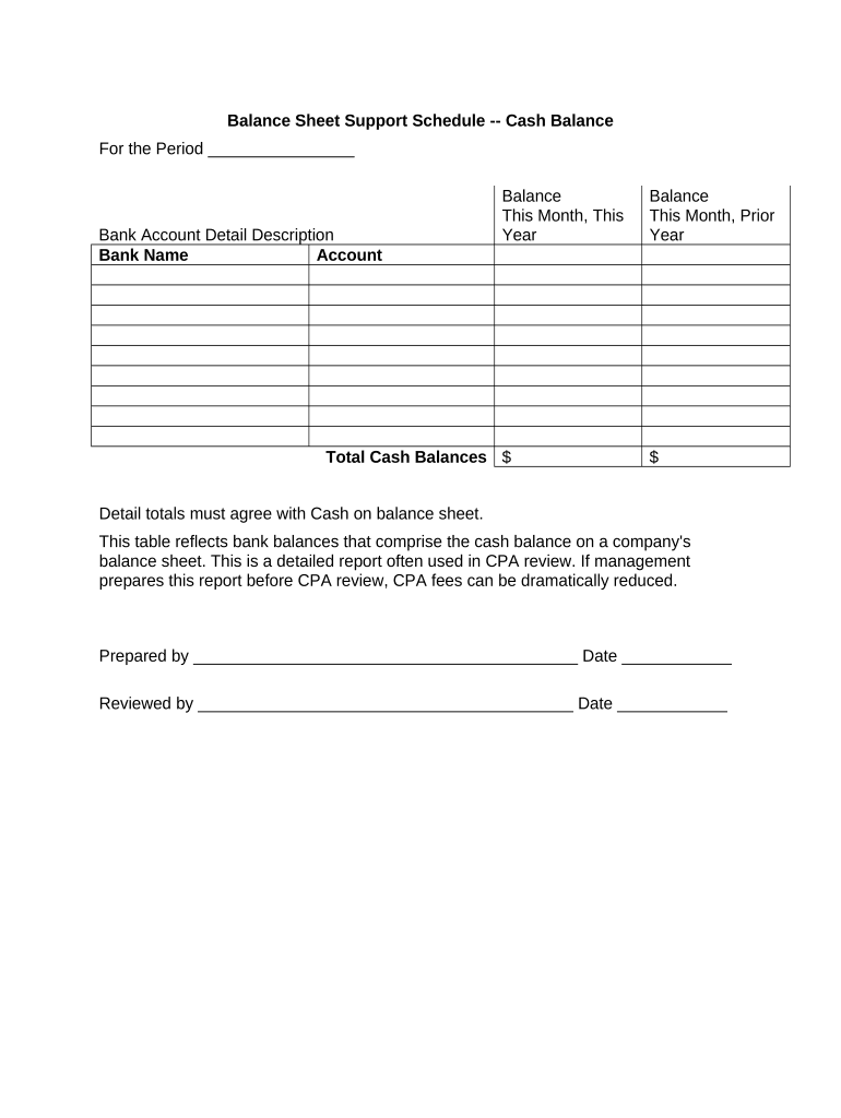 Balance Sheet Support Schedule Cash Balance  Form