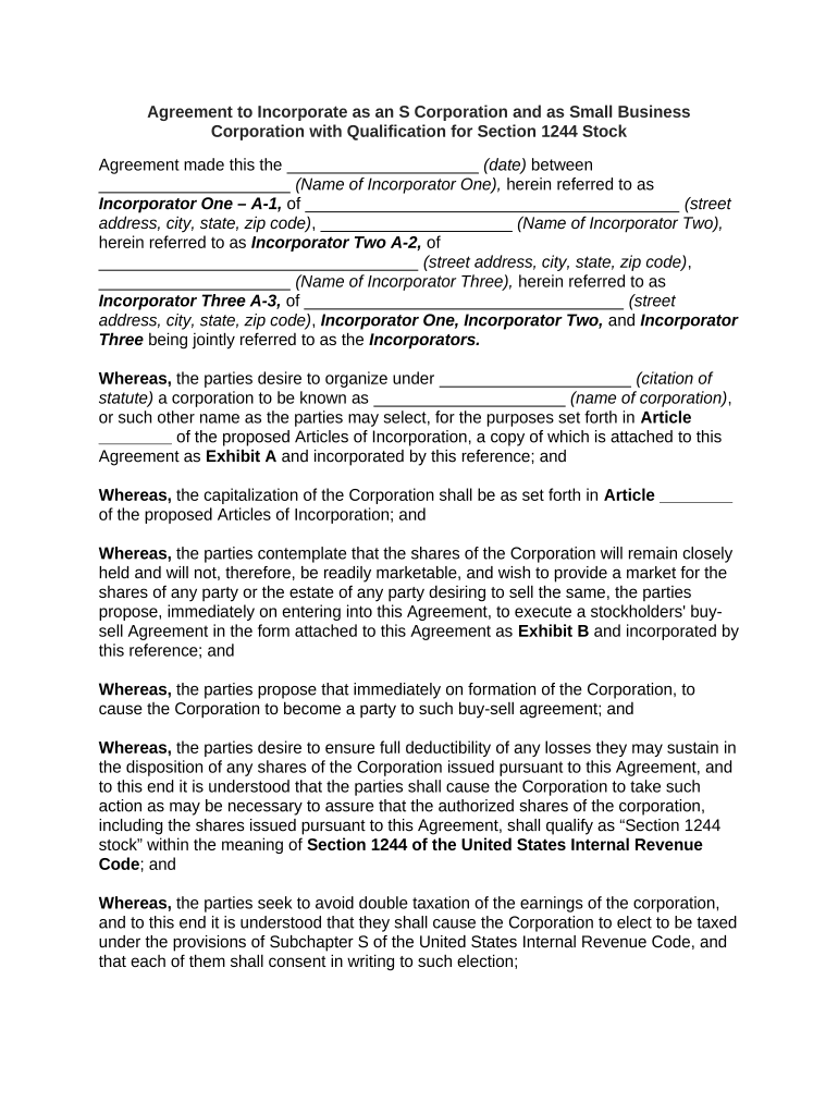 S Corp Document  Form