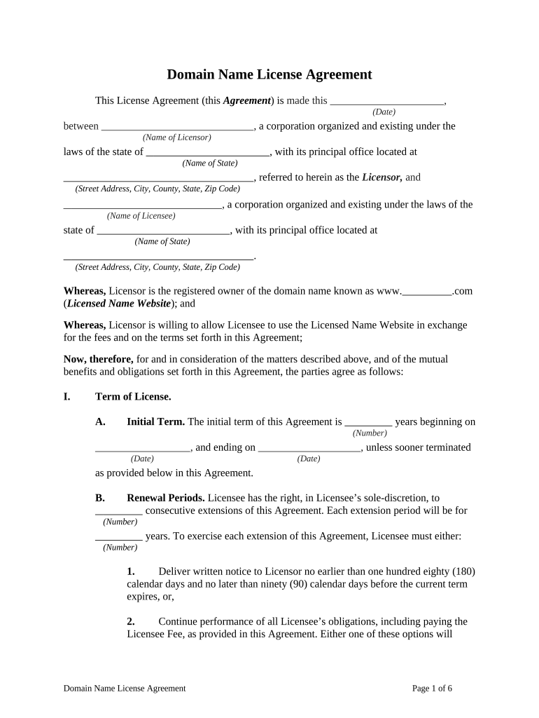 Name License Agreement  Form