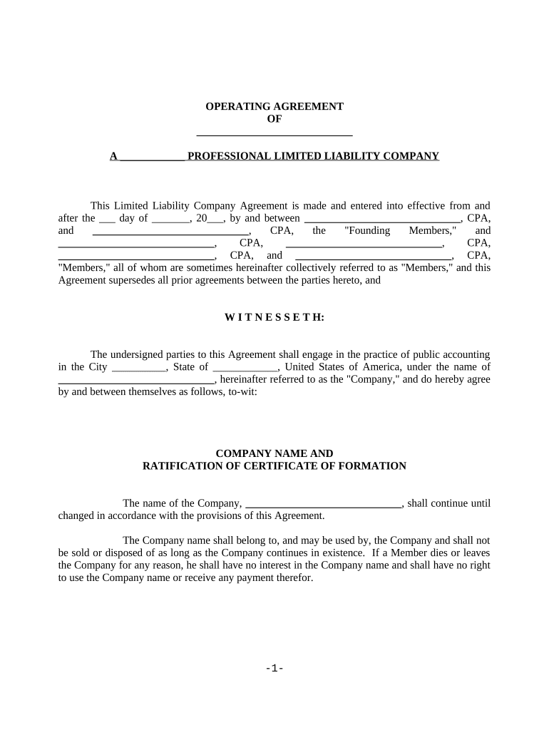 PLLC Operating Statement  Form