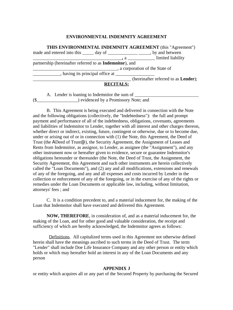 Indemnity Template  Form