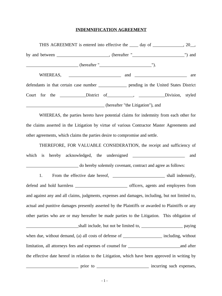 Indemnification Agreement for Litigation  Form