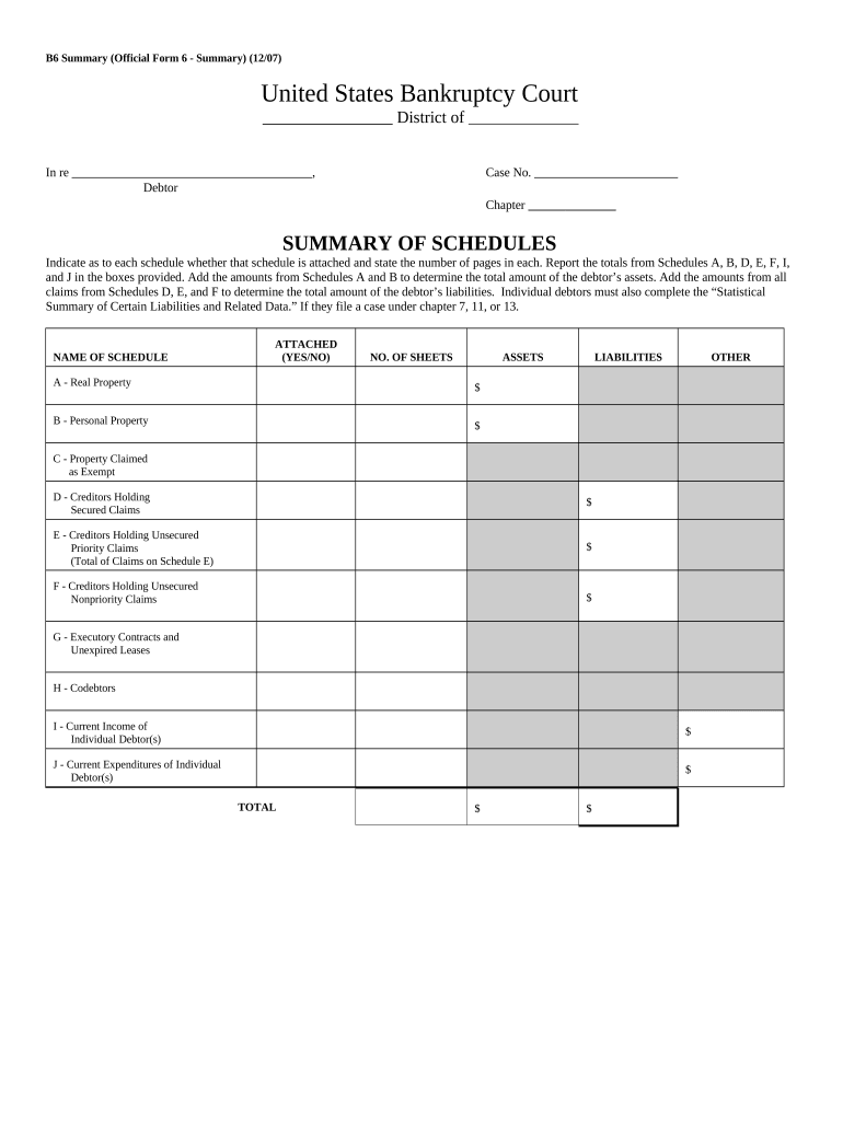 Summary of Schedules Form 6CONTSUM Post