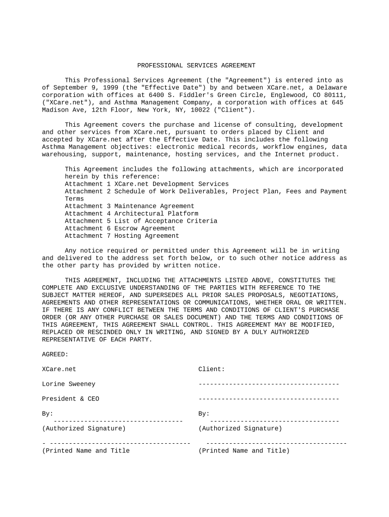 Professional Services Agreement Template  Form