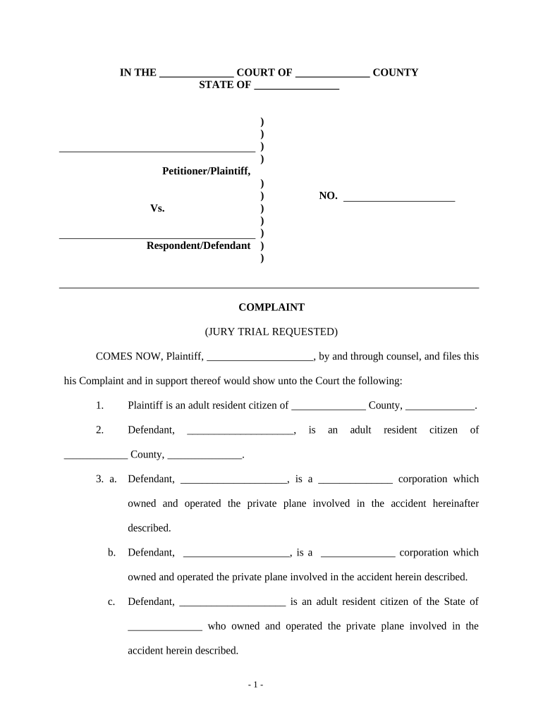 Complaint Regarding Airplanes  Form