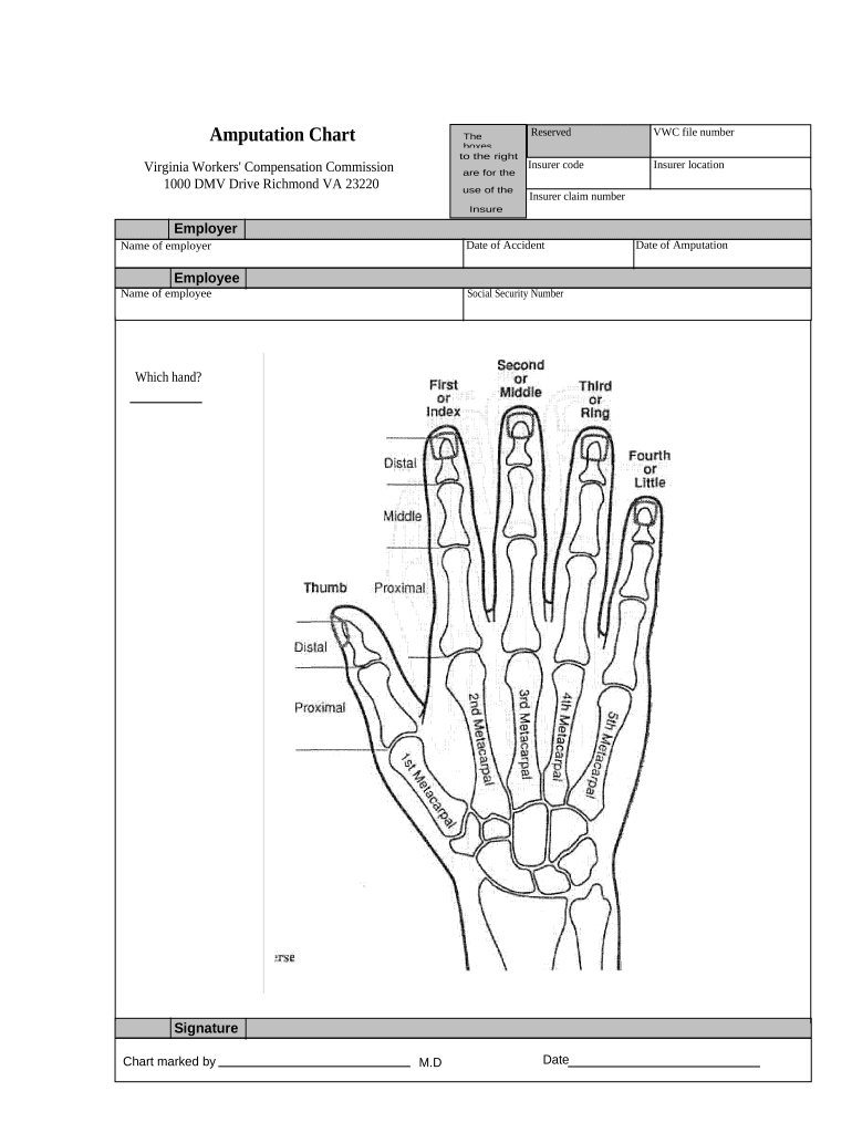 Chart Workers Compensation  Form