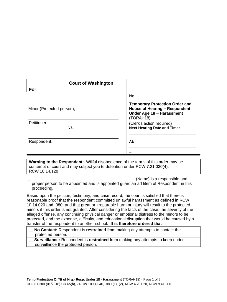 Protection Order Court Form