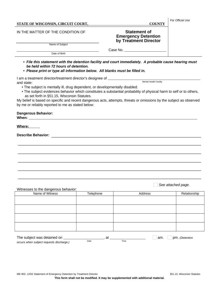 Statement of Emergency Detention by Treatment Director Wisconsin  Form