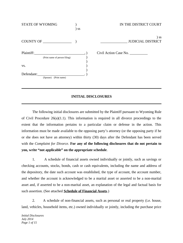 Fill and Sign the Initial Disclosures Divorce Form