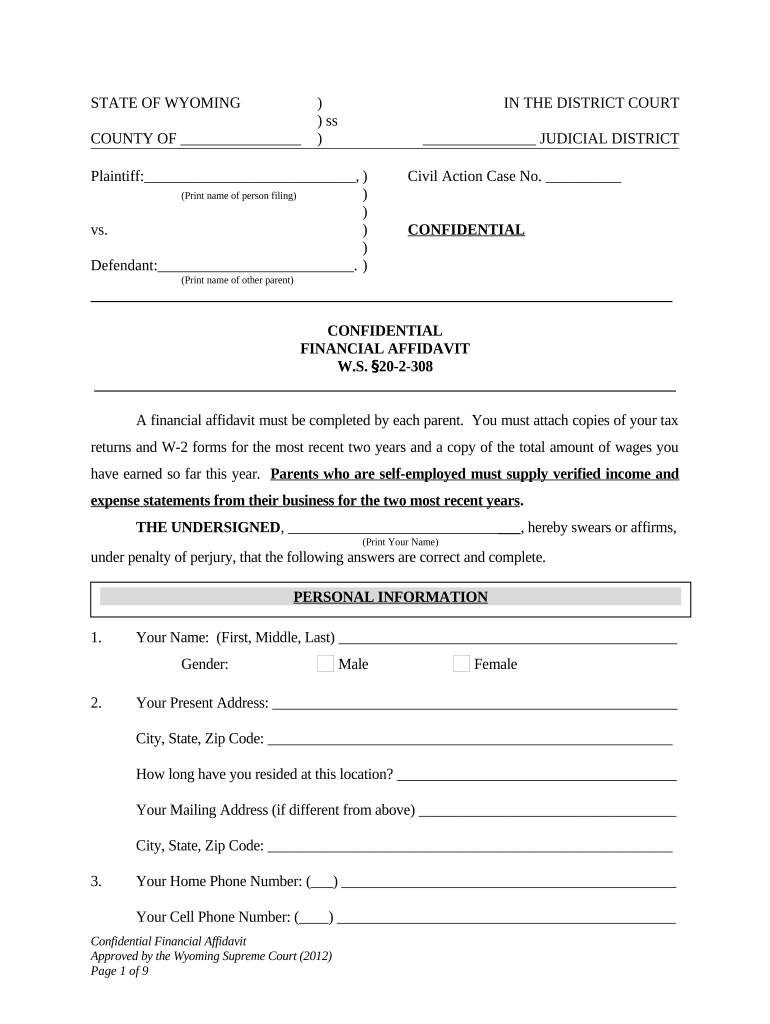 Confidential Financial Affidavit Wyoming  Form