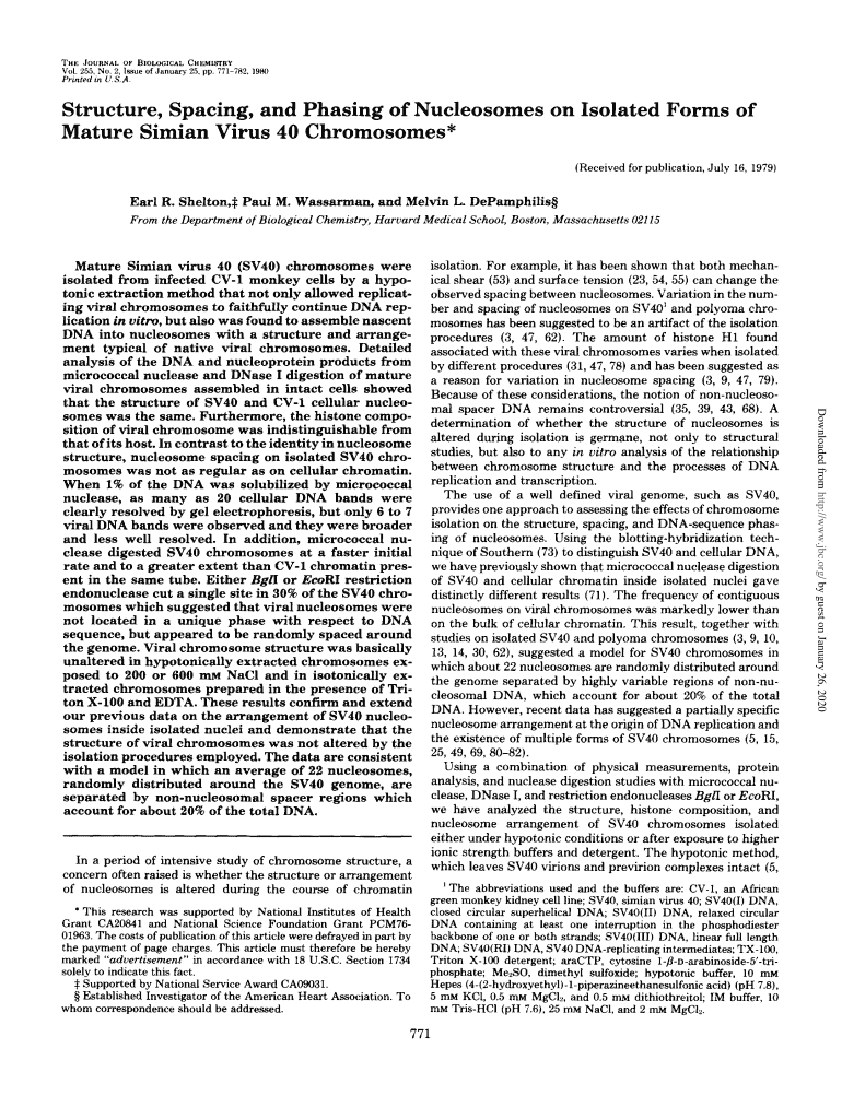 Structure, Spacing, and Phasing of Nucleosomes on Isolated Forms