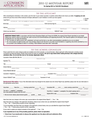 Mid Year Report Example  Form