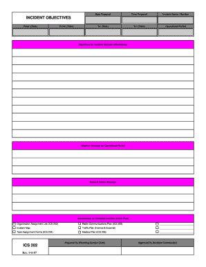 ICS Form 202 Nmt