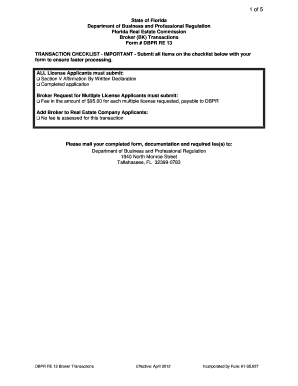  Florida Dbr Re 13 Fill in Form 2012-2024