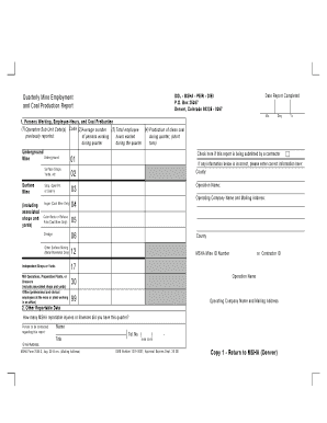 Msha Quarterly Report  Form