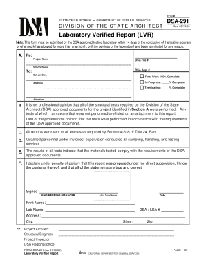  Dsa 291 Form 2009