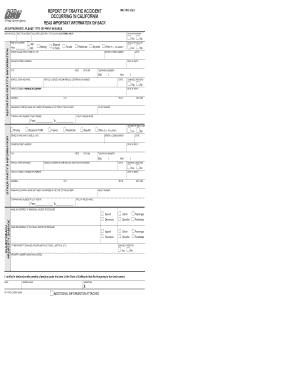 Sr1 Form Example