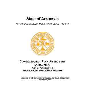 CONSOLIDATED PLAN AMENDMENT  Form