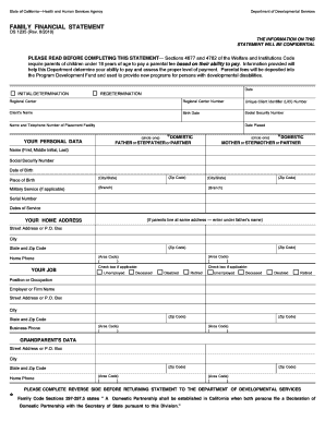 Family Financial Statement Form