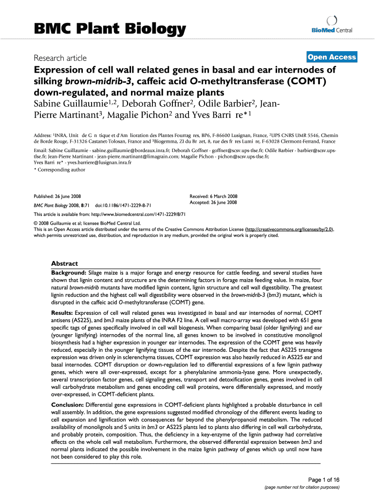 Expression of Cell Wall Related Genes in Basal and BioMed Central  Form