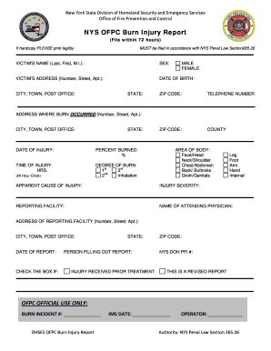 Nyc Burn Reporting Form
