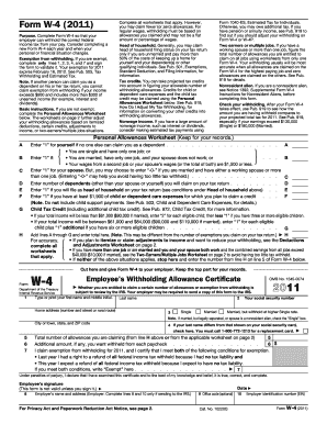 YOUTH PROGRAM APPLICATION Swmnpic  Form