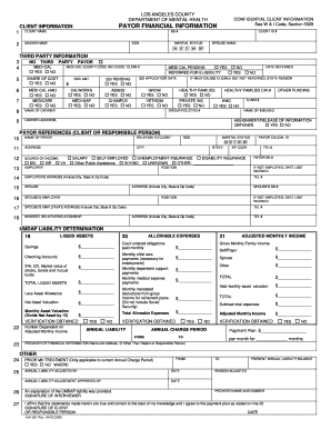 Pfi Form