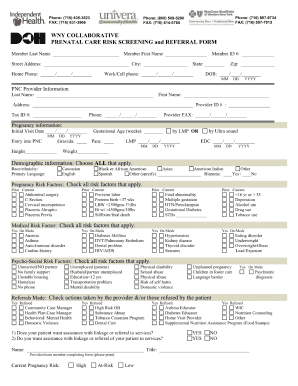 New York State Prenatal Care Risk Screening Form