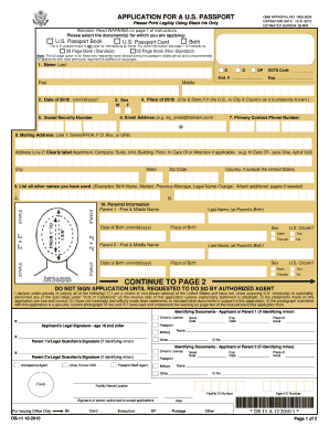 Ds 11 Fillable Form