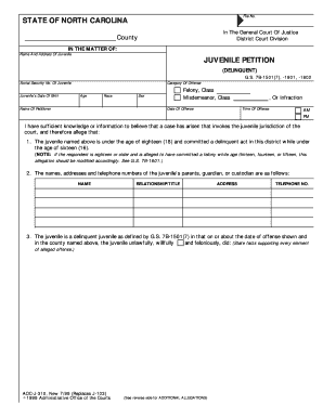 Juvenile Petition  Form