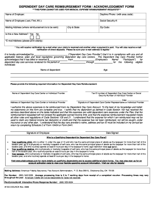  Form Daycare Reimbursement 2008-2024