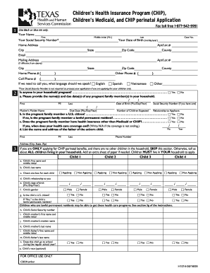 Chip Perinatal  Form