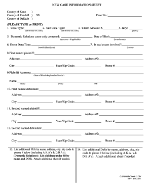 Illinois Replevin Statutory Requirements Kane County Form