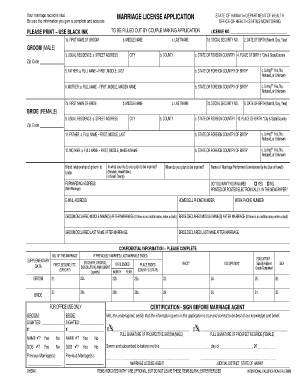 Hawaii Marriage License Application PDF  Form