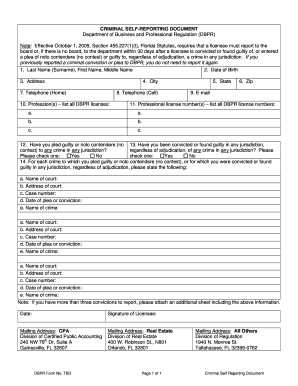 Florda Criminal Self Reporting Document Form