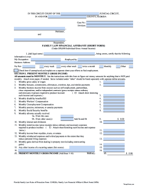 Financial Affidavit Florida  Form